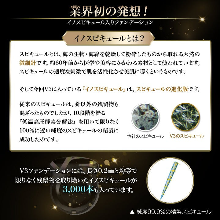 V3 Exciting foundation
