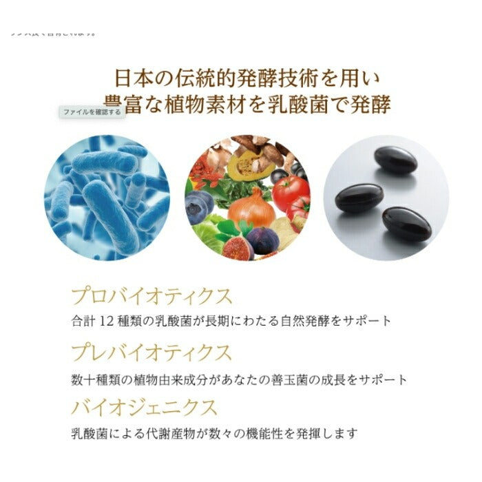 オーエム・エックス 12プラス(植物発酵食品)